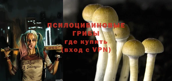 apvp Алзамай