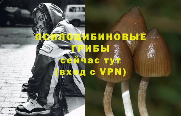 молекула духа Алексин