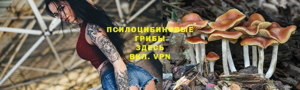 амф Алексеевка