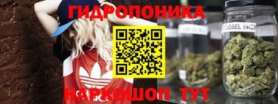 Альфа ПВП Обь