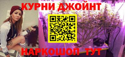 Альфа ПВП Обь