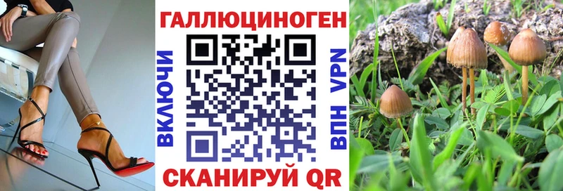 блэк спрут онион  цена наркотик  Апатиты  Псилоцибиновые грибы Cubensis 