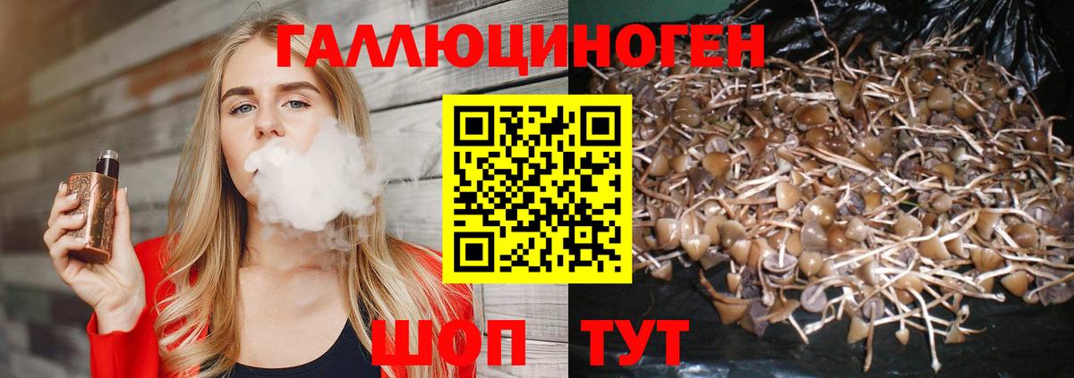 Галлюциногенные грибы ЛСД Апатиты