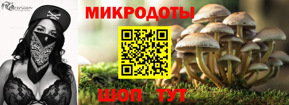 Апатиты  Псилоцибиновые грибы Psilocybe  Вход с VPN 